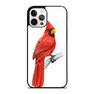 Beautiful Watercolor Red Cardinal Bird Watching Animal Gift iPhone Case